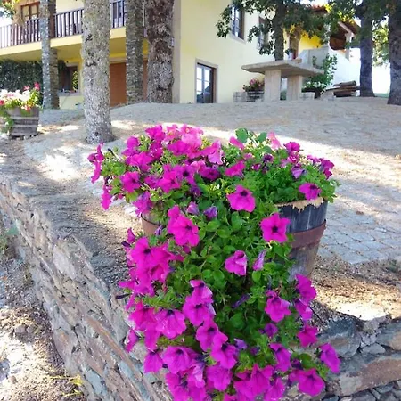 ヴィラ 4 Bedrooms Villa With City View Private Pool And Enclosed Garden At Macedo De Cavaleiros