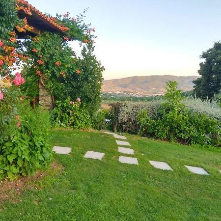4 Bedrooms Villa With City View Private Pool And Enclosed Garden At Macedo De Cavaleiros ヴィラ
